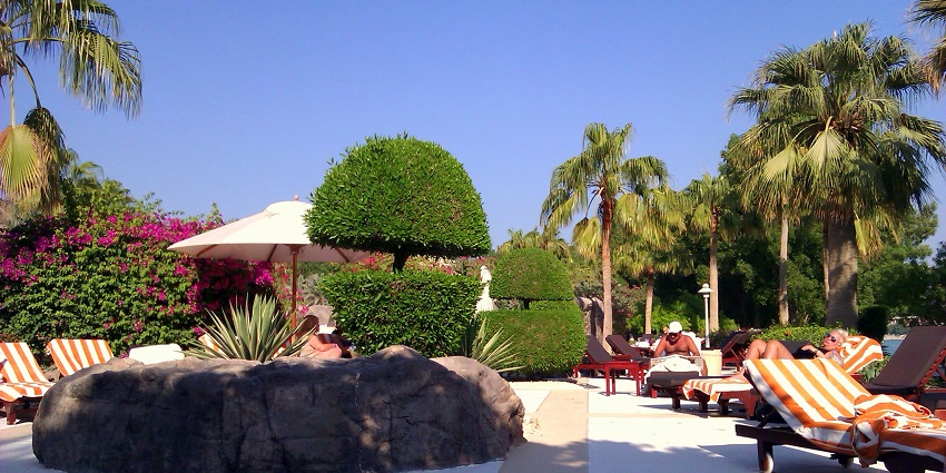 Luxurious hotels and affordable options near desert safari adventures