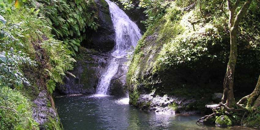 Serene waterfall in Rarotonga, surrounded by lush tropical vegetation.