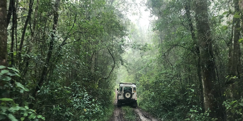Feel the excitement of wildlife sightings of tiger, leopard, deer, bison, and many more.