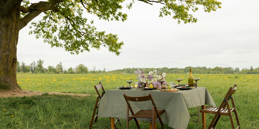 An image of a picnic table under a tree, set for a Valentine's Day celebration in Seattle