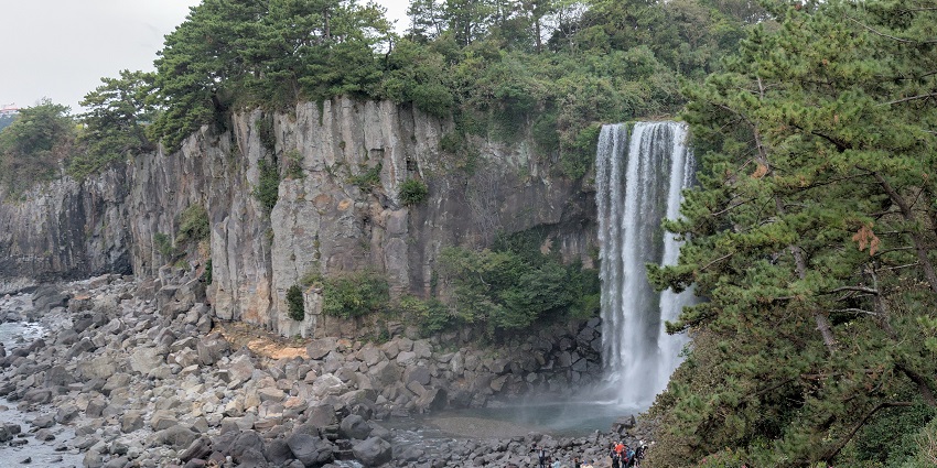 Jeongbang Waterfall cascades dramatically into the ocean, creating stunning scenery.