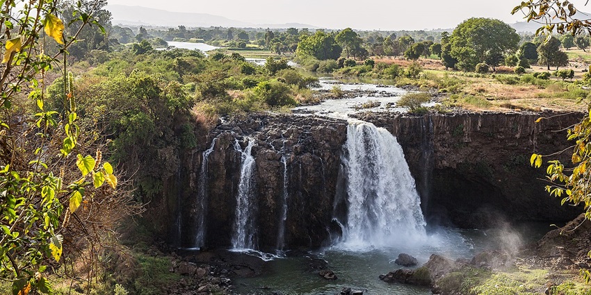 Majestic view of the Blue Nile Falls surrounded by moss and lush bushes all around.