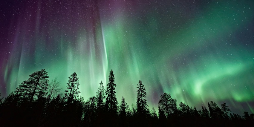 Northern lights above a grass field is looking gorgeous on a clear and starry night.