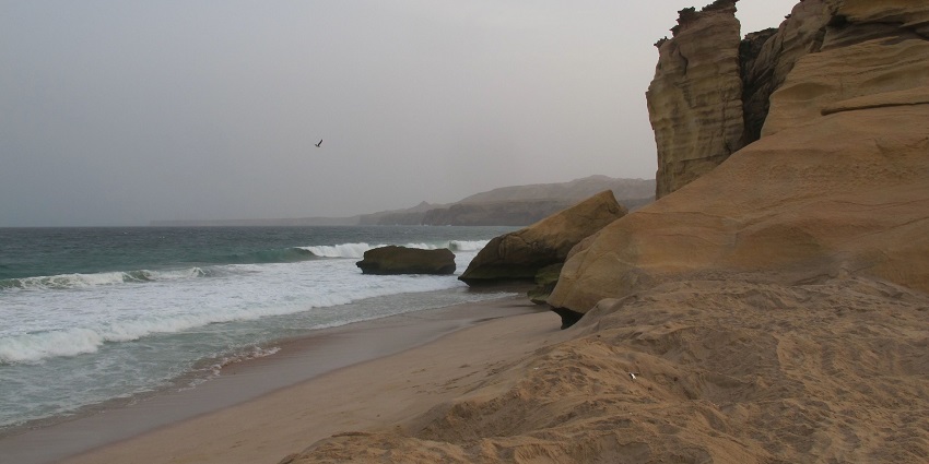 Coastal sanctuary is known for turtle nesting and conservation