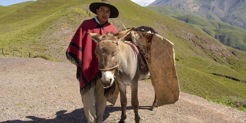 Experience horse riding with Gauchos, a royal activity.