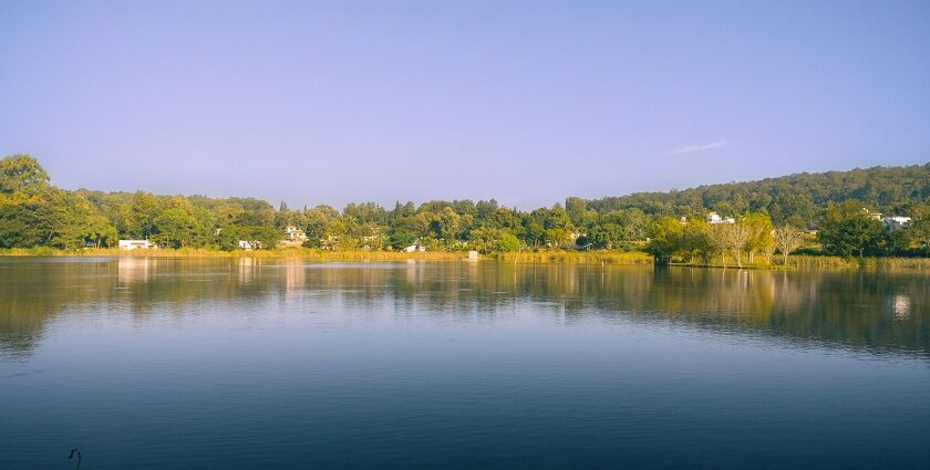 Explore the scenic Yelagiri Lake with the help of the Yelagiri travel guide