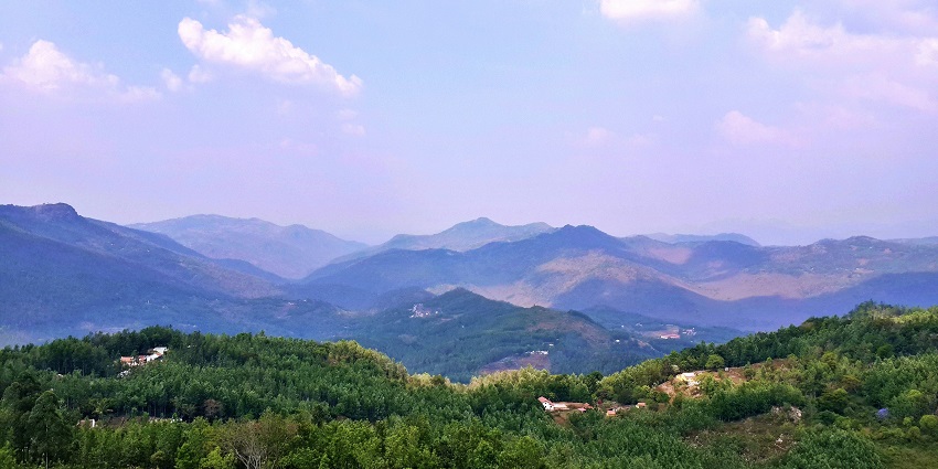  The mesmerizing beauty of the Yercaud Lake alongside the scenic greenery and bushes.
