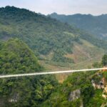 dive into the rich biodiversity of Zhangjiajie National Park and its value to China