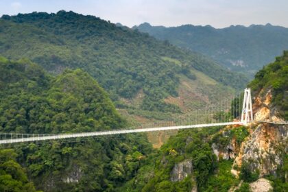 dive into the rich biodiversity of Zhangjiajie National Park and its value to China