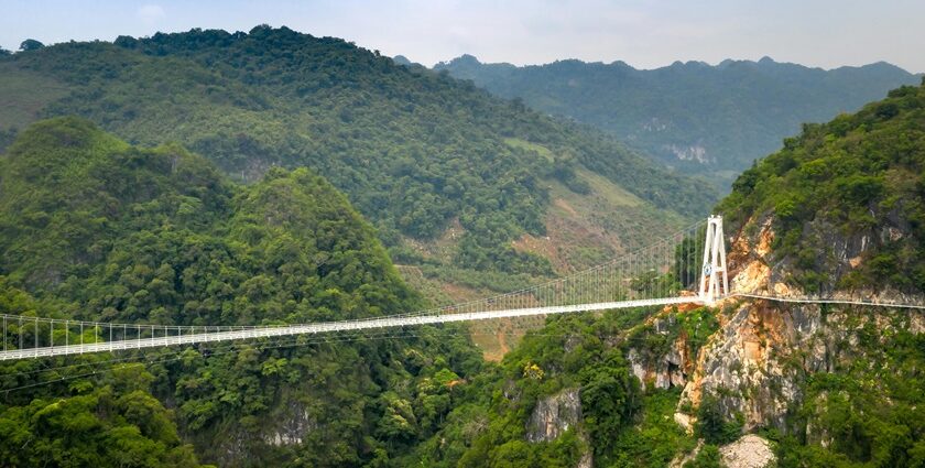 dive into the rich biodiversity of Zhangjiajie National Park and its value to China