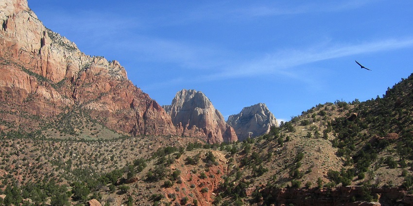 Zion National Park offers amazing views and an abundance of hiking opportunities.