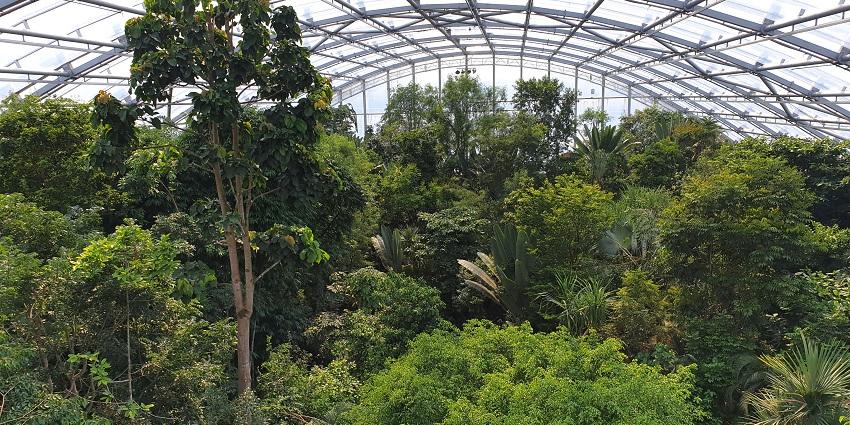 Explore Zoo Zurich’s Masoala Rainforest, a top place housing over 4,000 animals.