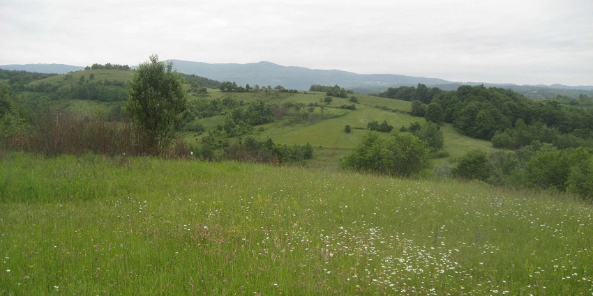 A picture of the landscape of Zumberak, holding the greenery all over and spreading peace.