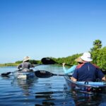 Witness the stunning mangroves of Goa which are sure to leave you spellbound.