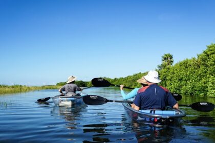 Witness the stunning mangroves of Goa which are sure to leave you spellbound.