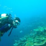 A person doing scuba diving while approaching corals with oxygen gear and diving gear.