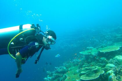 A person doing scuba diving while approaching corals with oxygen gear and diving gear.