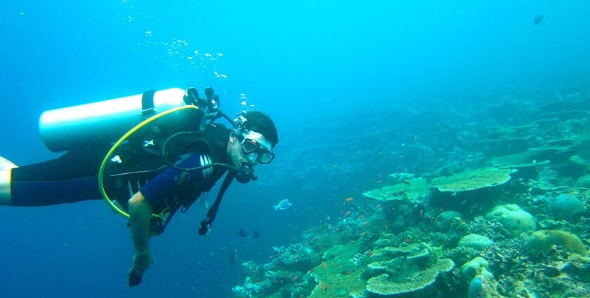 A person doing scuba diving while approaching corals with oxygen gear and diving gear.