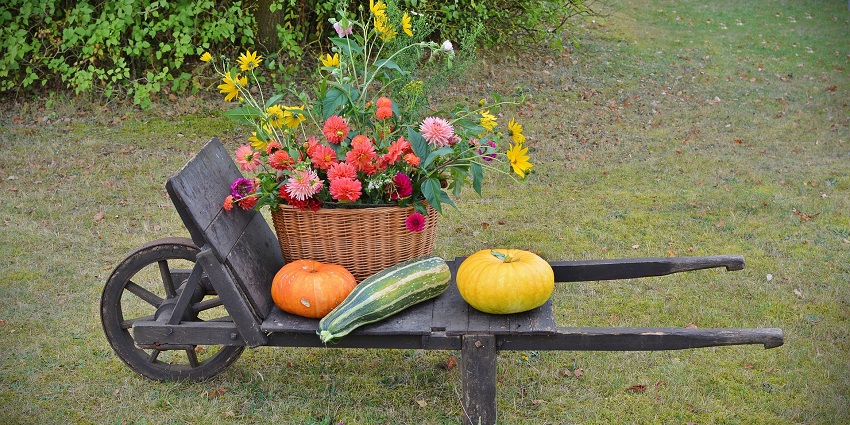 The Harvest Festivals Miami also offers an opportunity for families to attend interactive workshops