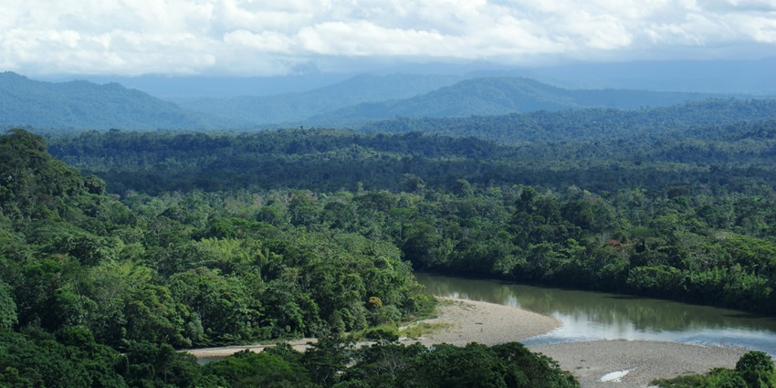 Yasuní National Park features lush rainforest, rich biodiversity, rivers, and wildlife sanctuary.