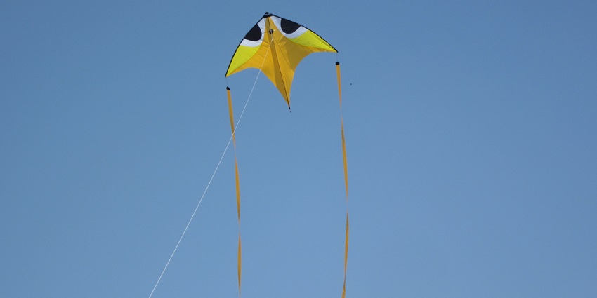 A kite flying in the sky showing the importance of Uttarayan, known for its harvest festival of Gujarat.