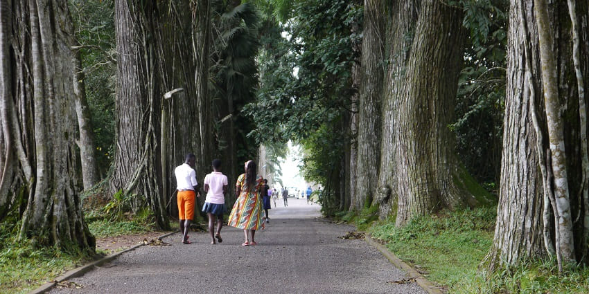 People walk on a trail amid big trees in Aburi Botanical Gardens in Eastern Ghana