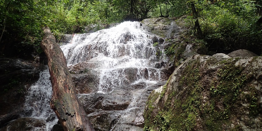 Afi Mountain Wildlife Sanctuary, filled with mini waterfalls, trails, and canopy walkways