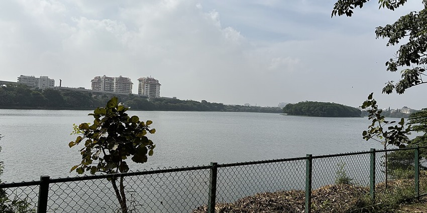 Agara Lake with a large water body, small bush, net fencing, buildings and a bridge.