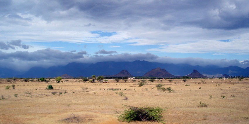 Visit Agasthyakoodam, the second-highest peak in India, provides an exciting trek.