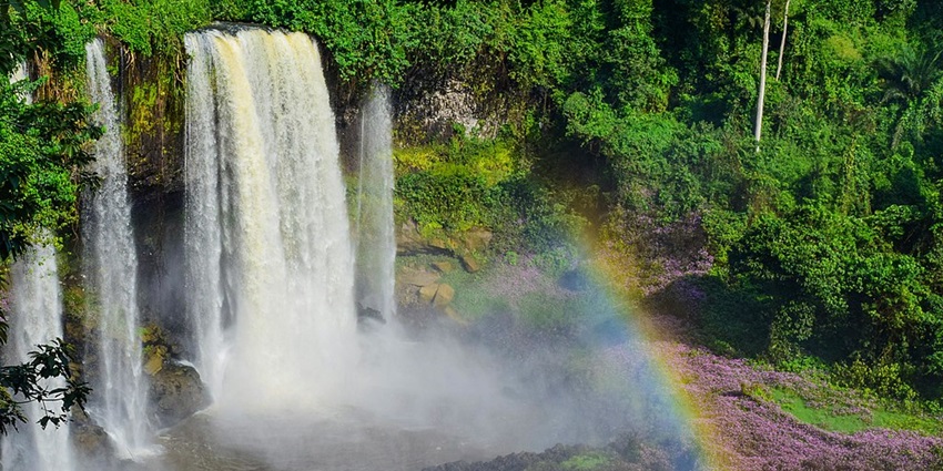 Scenic Nigerian waterfall with seven cascades, surrounded by tropical rainforest and vibrant wildlife.