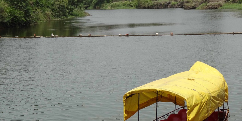 One of the lakes in Nashik with a person sitting in the yellow boat surrounded by lush greenery.