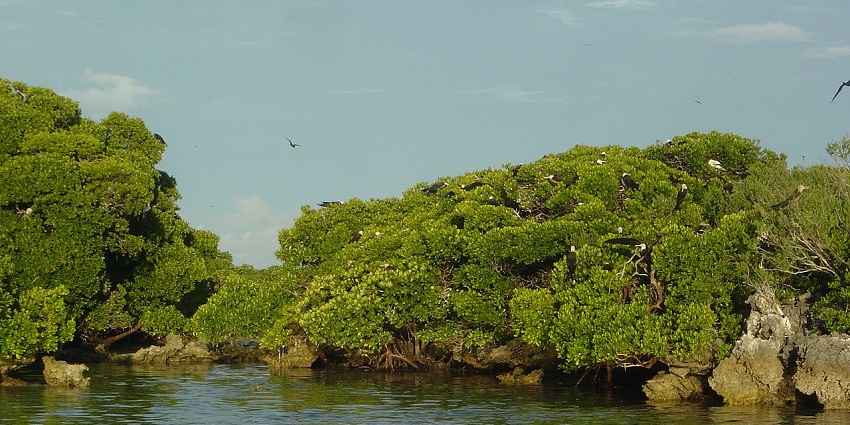 Image of Aldabra Atoll, a UNESCO-listed site hosting world’s largest tortoise population.