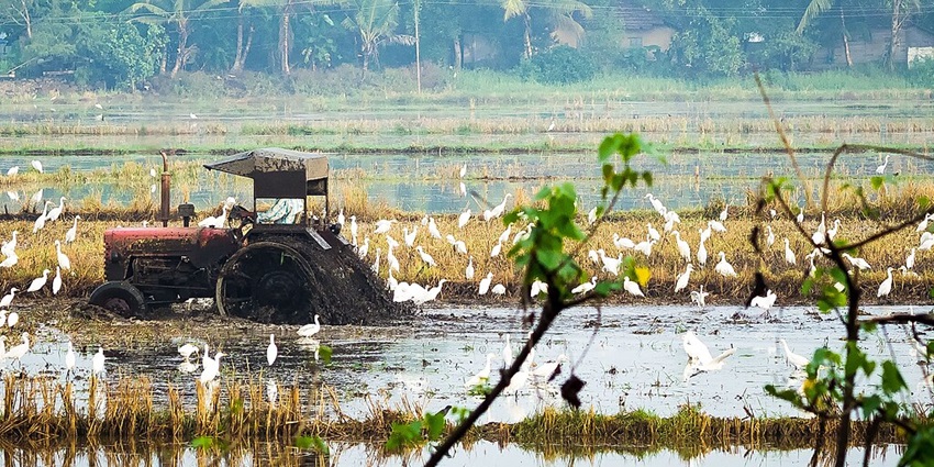 Tractor cruising through the Alleppey backwaters, offering a glimpse of Kerala’s beauty