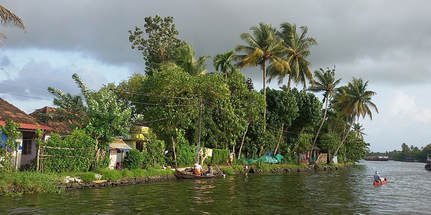 An image of the serene Alleppey Backwaters with houseboats floating amid thick greenery