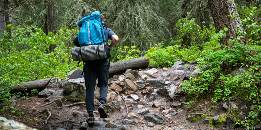 An image of the Anamalai Tiger Reserve, one of the best places for trekking near Coimbatore.