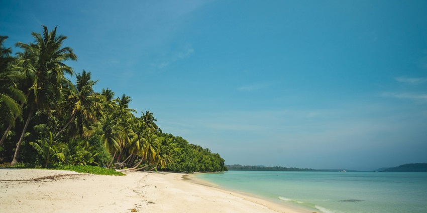 An image of a view of Andaman and Nicobar Islands with green trees and clear blue water.