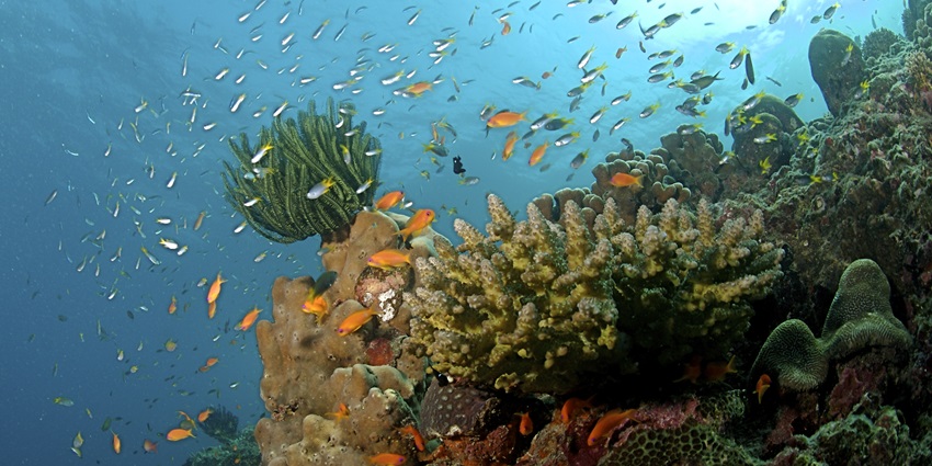 The Andaman Islands offer crystal-clear waters and family-friendly beach activities.