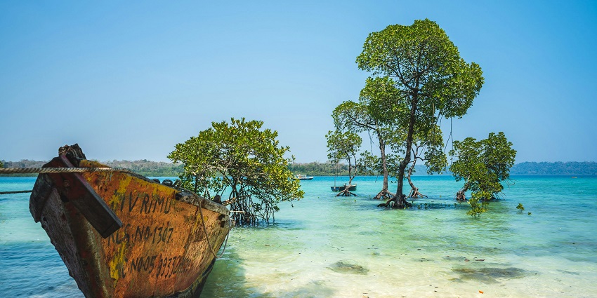 A view of a brown boat in front of a blue ocean surrounded by trees during the day.