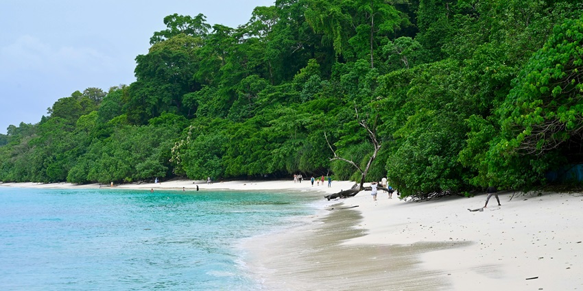 An image of a view of Andaman and Nicobar Islands with green trees and clear blue water.
