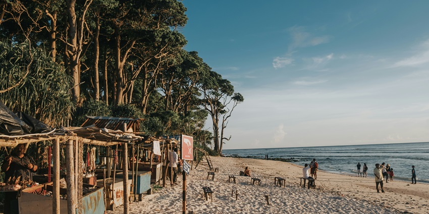 An image showing an elephant in the Andaman and Nicobar Islands, surrounded by lush tropical scenery.
