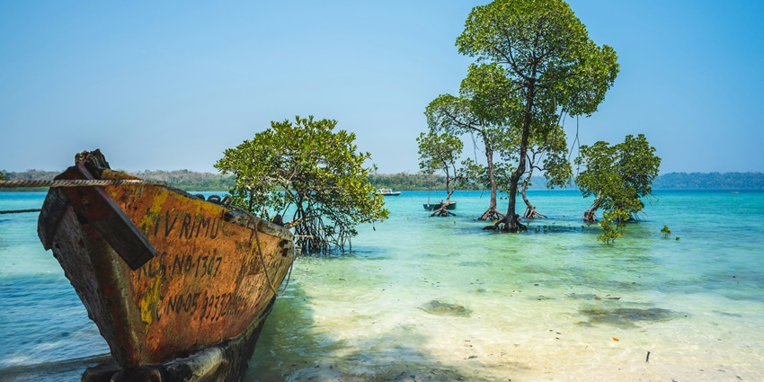 An image of a pristine beach in the Andaman Islands with clear blue waters.