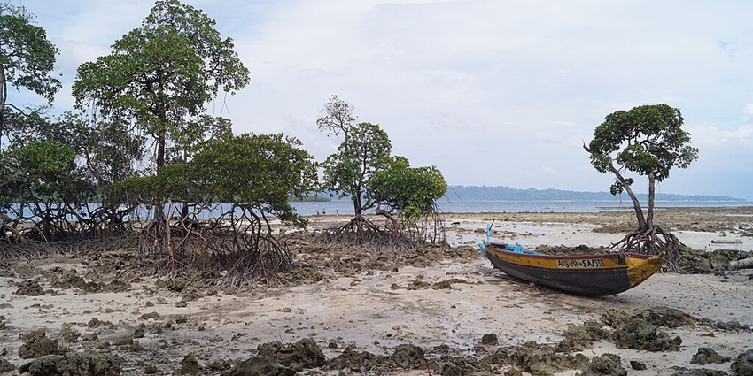 An image of Radhanagar Beach in the Havelock, Andaman and Nicobar islands, among the places to visit in India in February for couples.