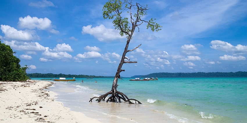 Tropical beach in the Andaman Islands with turquoise water, white sand, and palm trees.