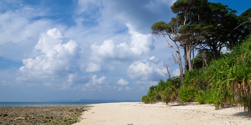 An image of a pristine beach in the Andaman Islands with clear blue waters.