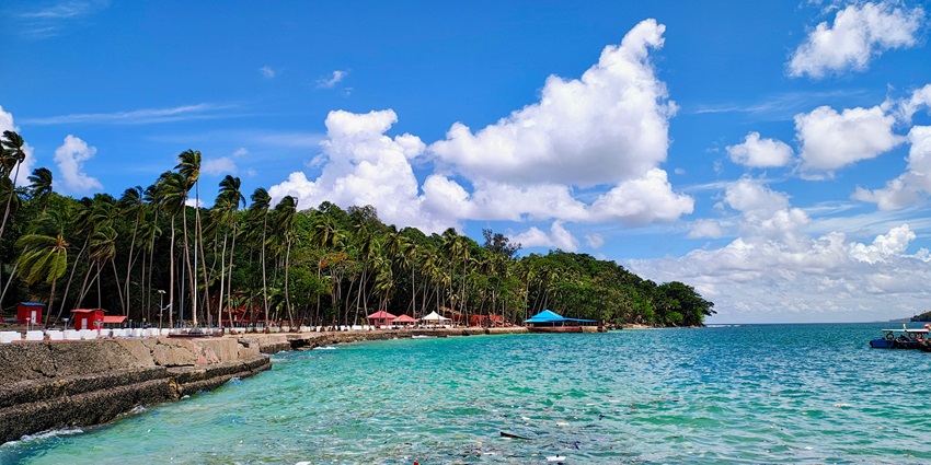 An image of the Andaman ross, with the Banyan tree in sight.