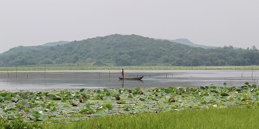 Anshupa Lake with a man standing on a boat in the lake and surrounded by greenery