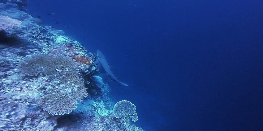 Philippines’ largest coral reef system with crystal-clear waters.