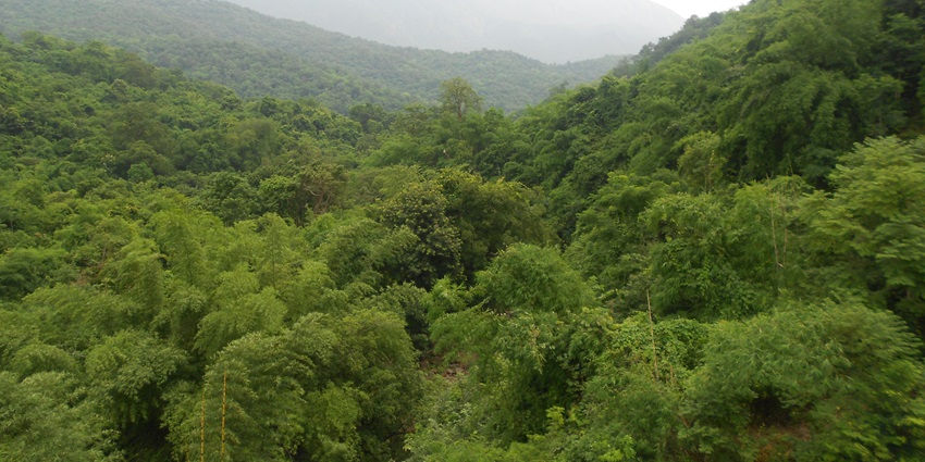 An image of the Araku Valley, one of the best tourist attractions near Sileru Waterfalls.
