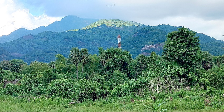 Araku Valley has lush greenery, that makes it one of the best places to visit in August in South India