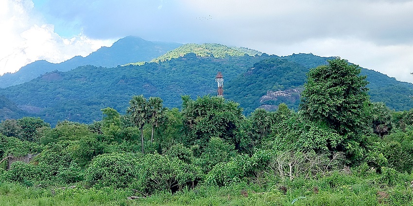An image showing a wide view of Araku Valley, Andhra Pradesh, surrounded by hills and fields.